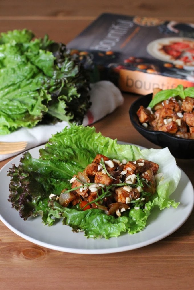 Lettuce-Wraps-1-680x1019-1 Lettuce-Wraps-1-680x1019-1