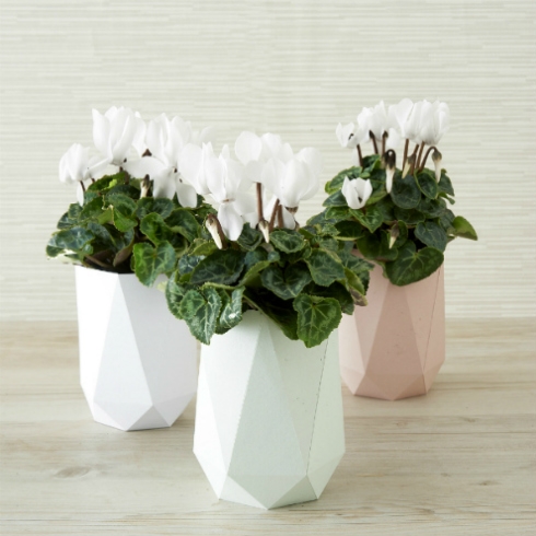 Paper-Craft-Home_Minimal-Vase-blog Paper-Craft-Home_Minimal-Vase-blog