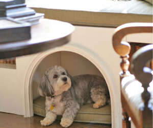 Top 10 Interesting Design Ideas for Pet Spaces