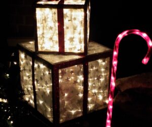 Top 10 Adorable DIY Decorations with Christmas Lights