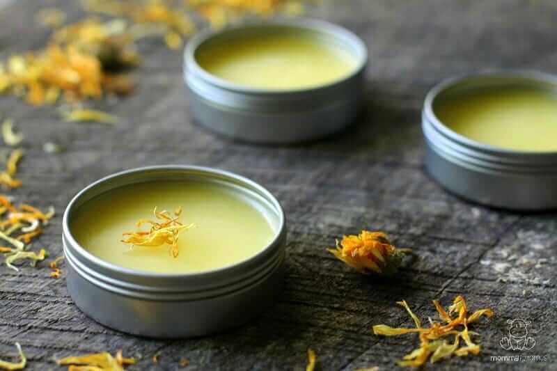 calendula-salve-recipe calendula-salve-recipe