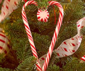 Top 10 Best DIY Christmas Projects with Candy Canes