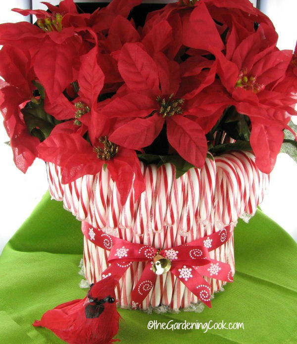 candycanevase2 candycanevase2