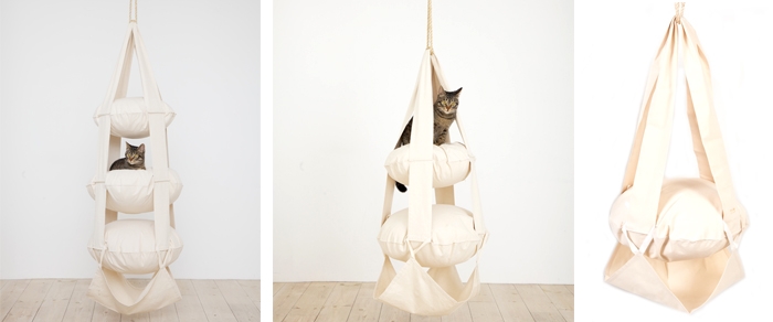 cat-trapeze-