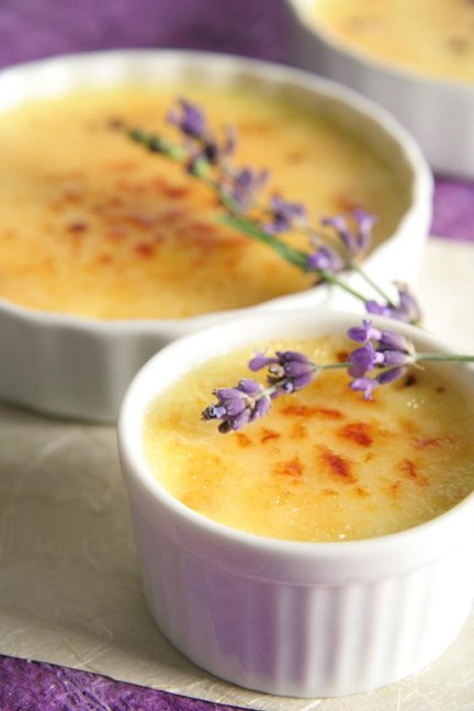 lavander-creme-brulee-