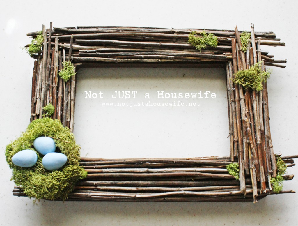 moss-frame-5-1024x776-1 moss-frame-5-1024x776-1