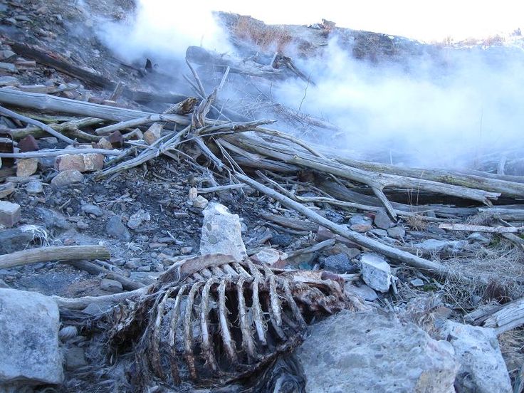 5-Centralia-Pennsylvania