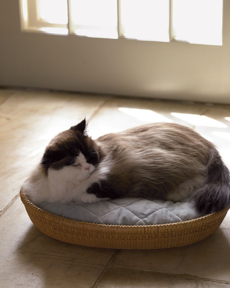 Basket-Bed