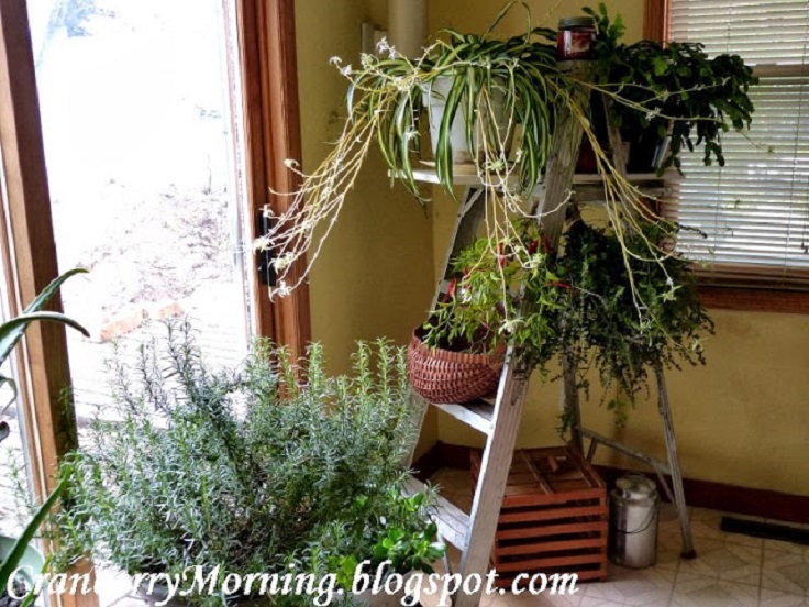 DIY-Plant-Ladder