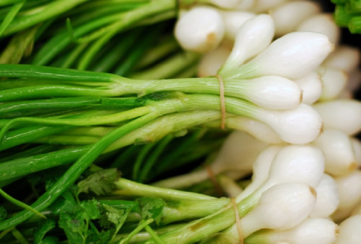 Scallion