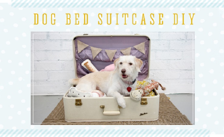 Suitcase-Pet-Bed