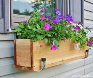 Top 10 Best DIY Window Boxes