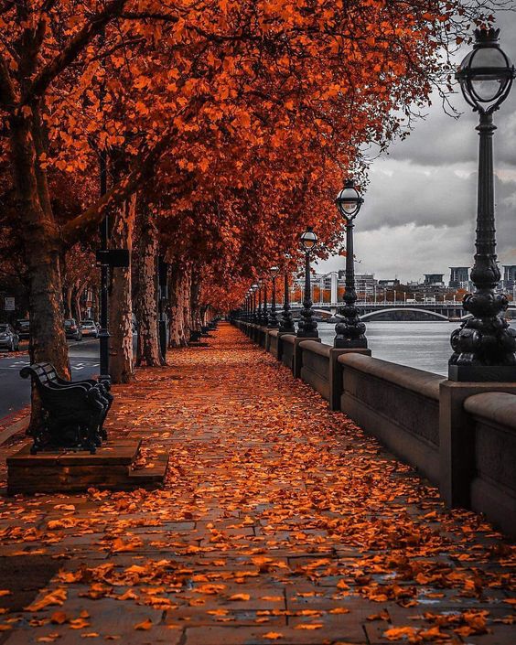 autum-in-london-