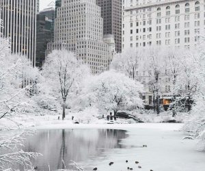 Top 10 Most Astonishing Photos of NYC Covered With Snow