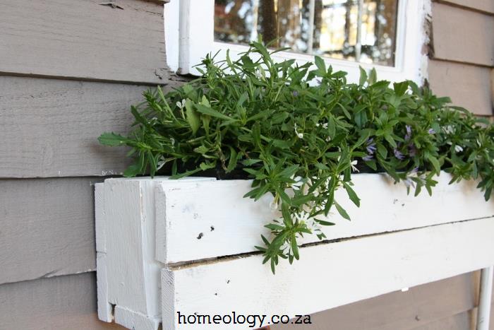 diy-window-box-garden