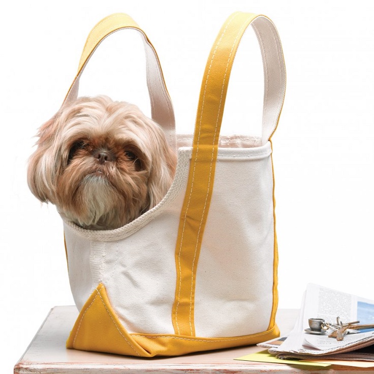 dogie-bag