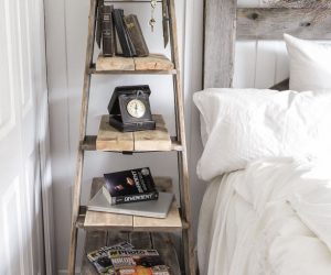 Top 10 Repurposed Old Ladders