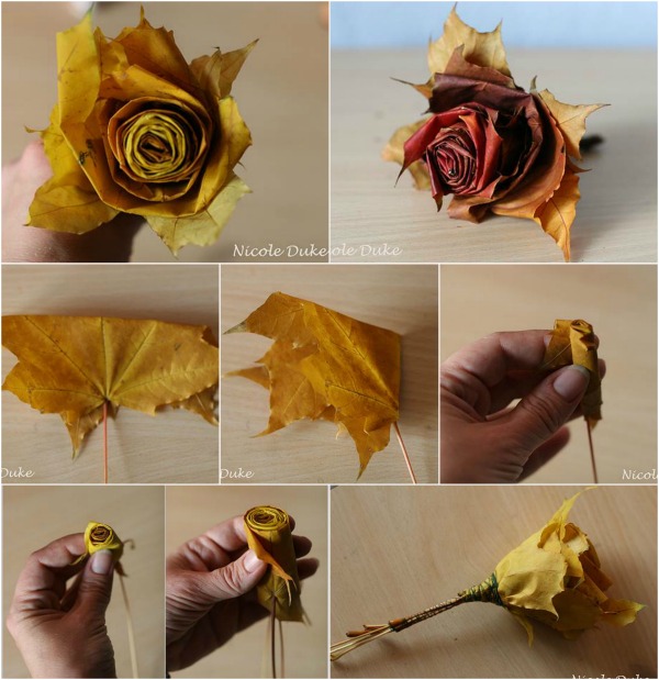 maple-leaf-rose