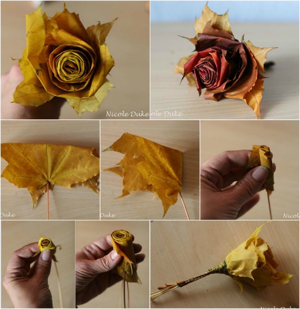maple-leaf-rose maple-leaf-rose