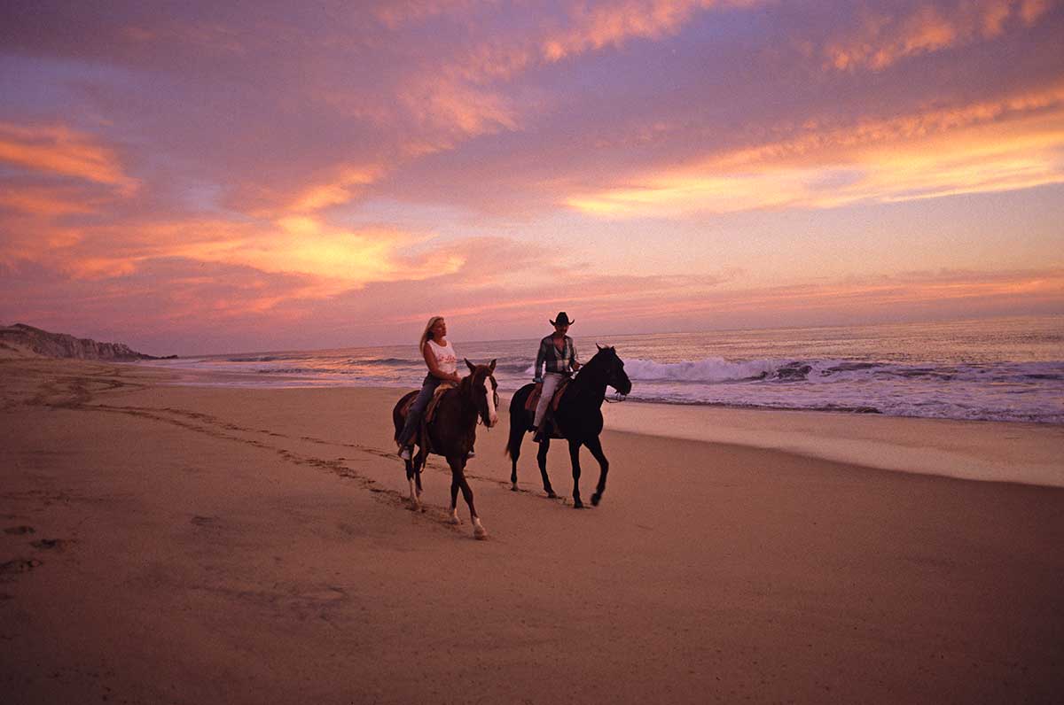 rorse-riding-for-honeymoon-