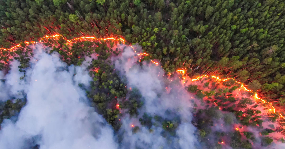 siberian-forest-on-fire-