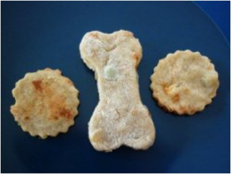 Crunchy-Vegetable-Biscuits