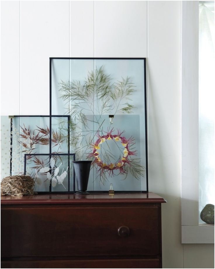 Modern-Way-To-Display-Pressed-Flowers