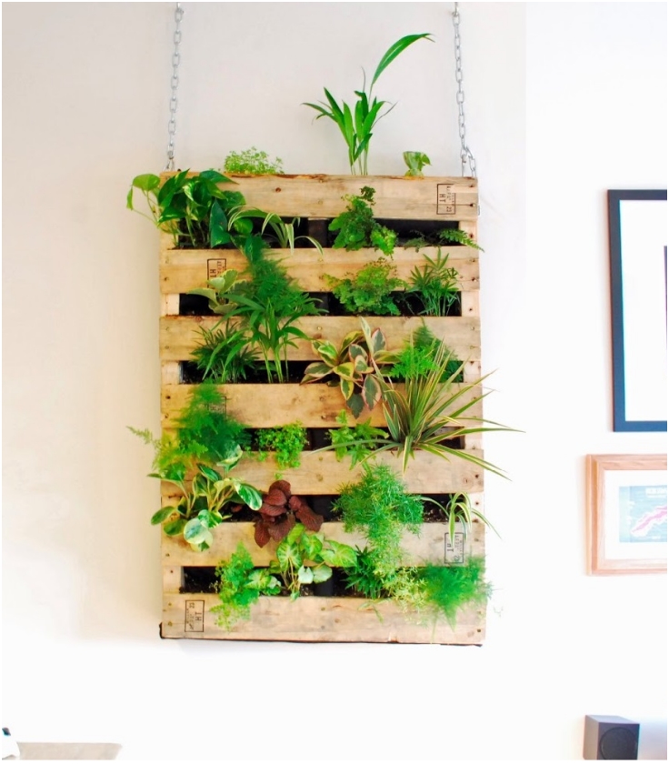 Pallet-Living-Wall