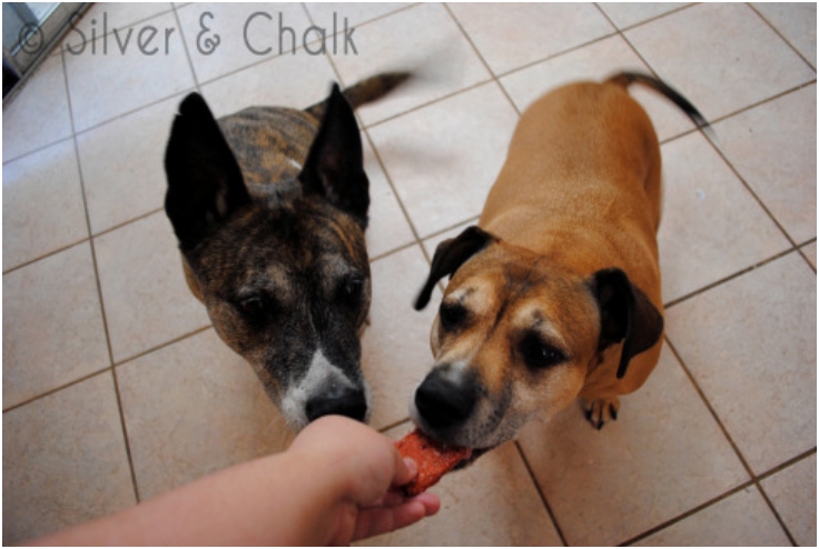 Rustic-Root-Vegetable-Dog-Treats