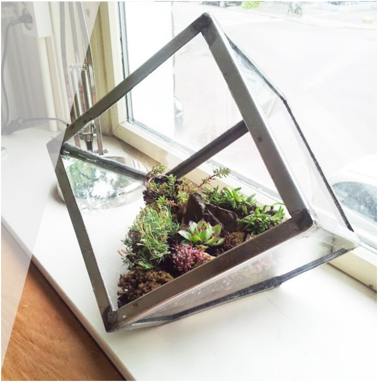 Terrarium