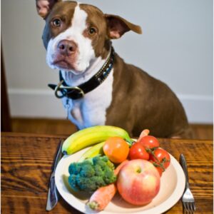 Vegetables-For-Dogs-300x300