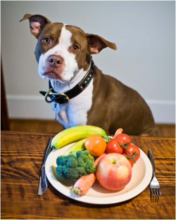 Vegetables-For-Dogs
