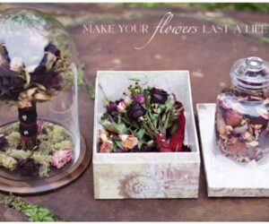 Top 10 DIY’s For Preserving And Displaying Dried Flowers