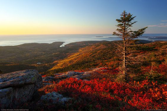 Acadia-national-park-