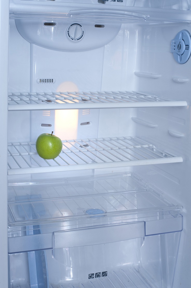 At-the-Beginning-Youll-Need-an-Empty-Refrigerator