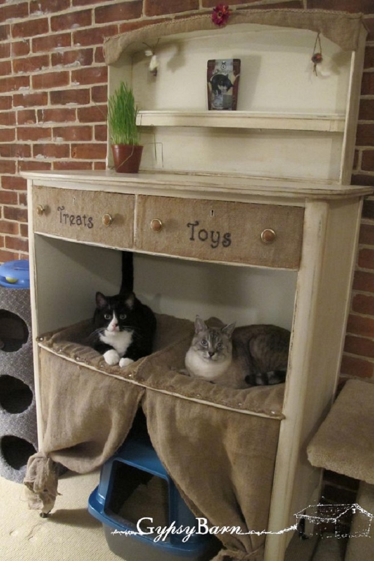 Top 10 Ways to Repurpose Old Furniture for Your Pet | Top Inspired