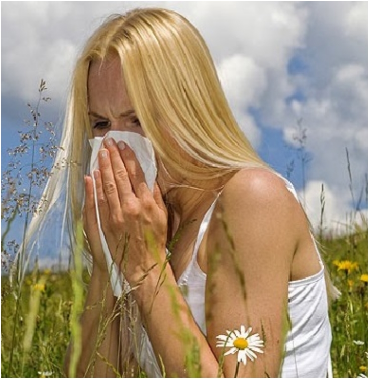 Top 10 Teas To Help You Fight Allergies | Top Inspired