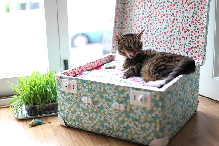 DIY-Vintage-Suitcase-Pet-Bed