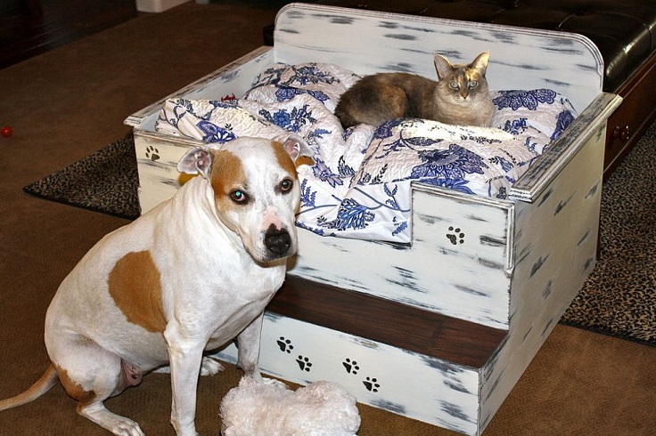 Homemade-dog-or-cat-beds