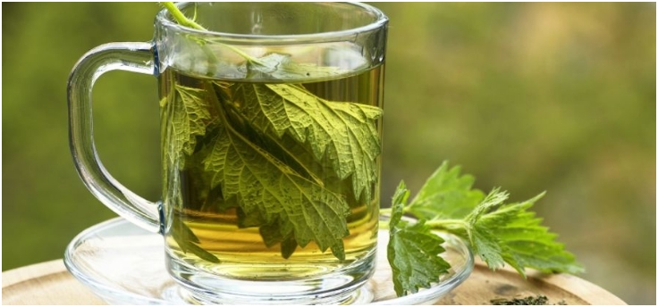 Nettle-Tea