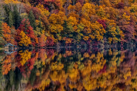 Pisgah-National-Forest-North-Carolina