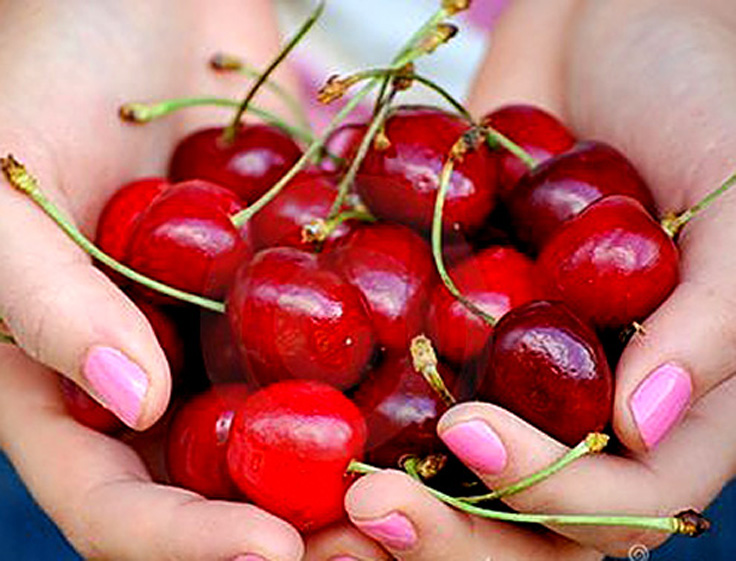 Top-10-friendly-fruits-for-diabetics_07