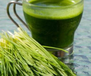 Top 10 Reasons To Start Your Day With Watergrass Juice