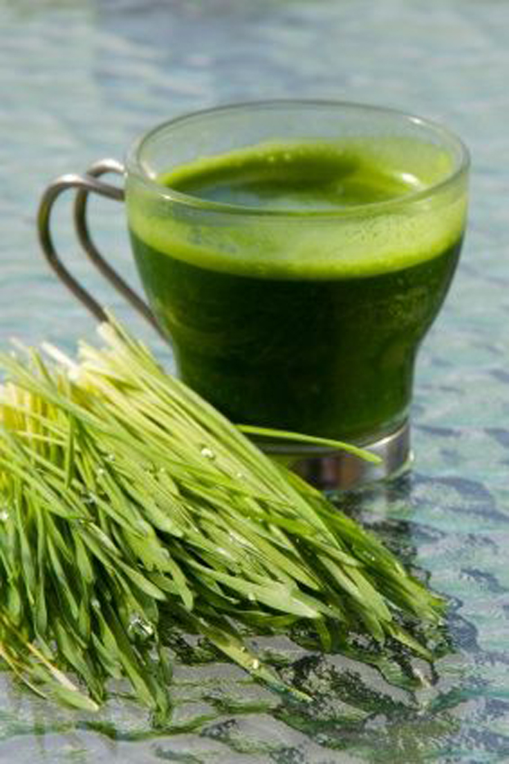 Top 10 Reasons To Start Your Day With Water Grass Juice | Top Inspired