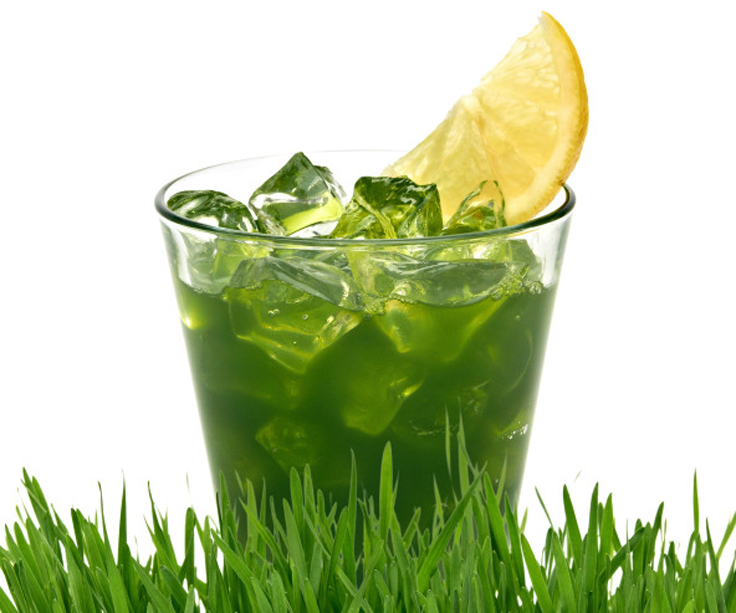 Top-10-reasons-to-start-your-day-with-water-grass-jucie_10