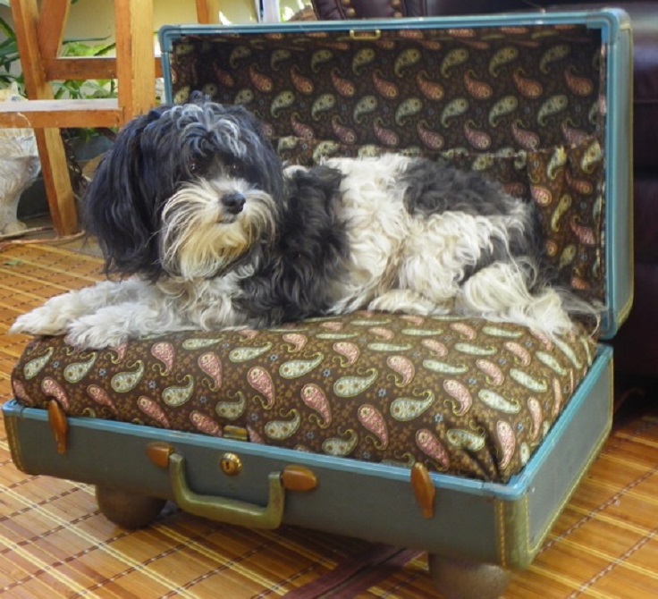 Vintage-Suite-Case-Turned-Pet-Bed