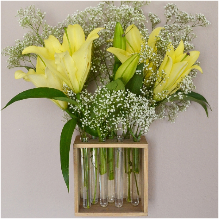 Wall-Hung-Test-Tube-Vase