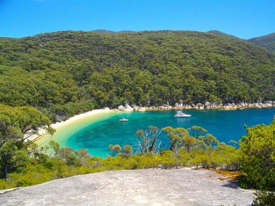 Refuge-Cove-Wilsons-Promontory-Australia