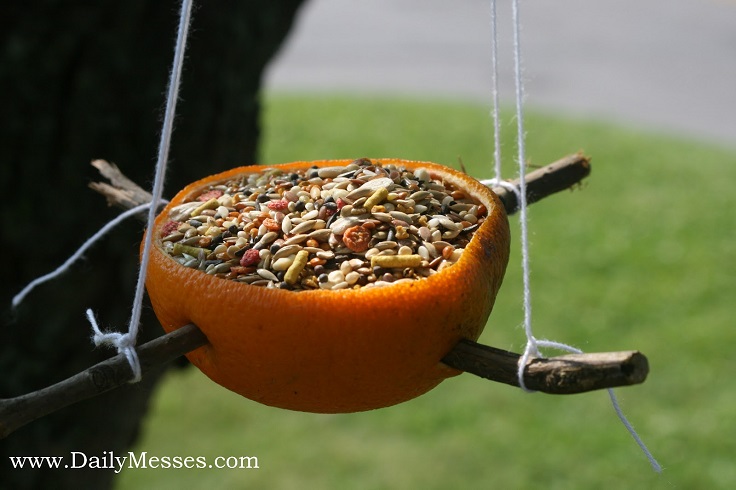 orange-bird-feeder-hanging