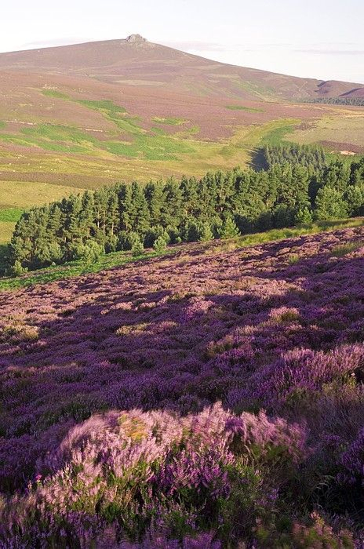 Cairngorms-National-Park-Scotland